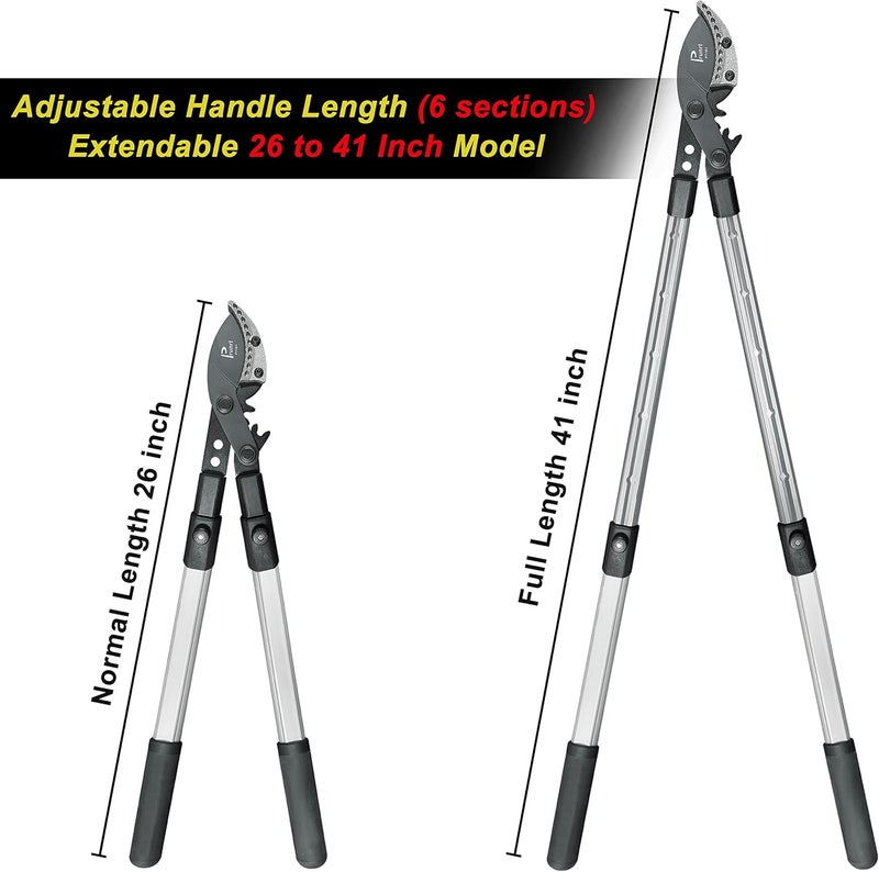 Prunrt 26-41 Inch Extendable Anvil Loppers, Sync Drive Leverage Tree Trimmers, Telescopic Pruners Heavy Duty, 2 Inch Cutting Capacity - Image 2
